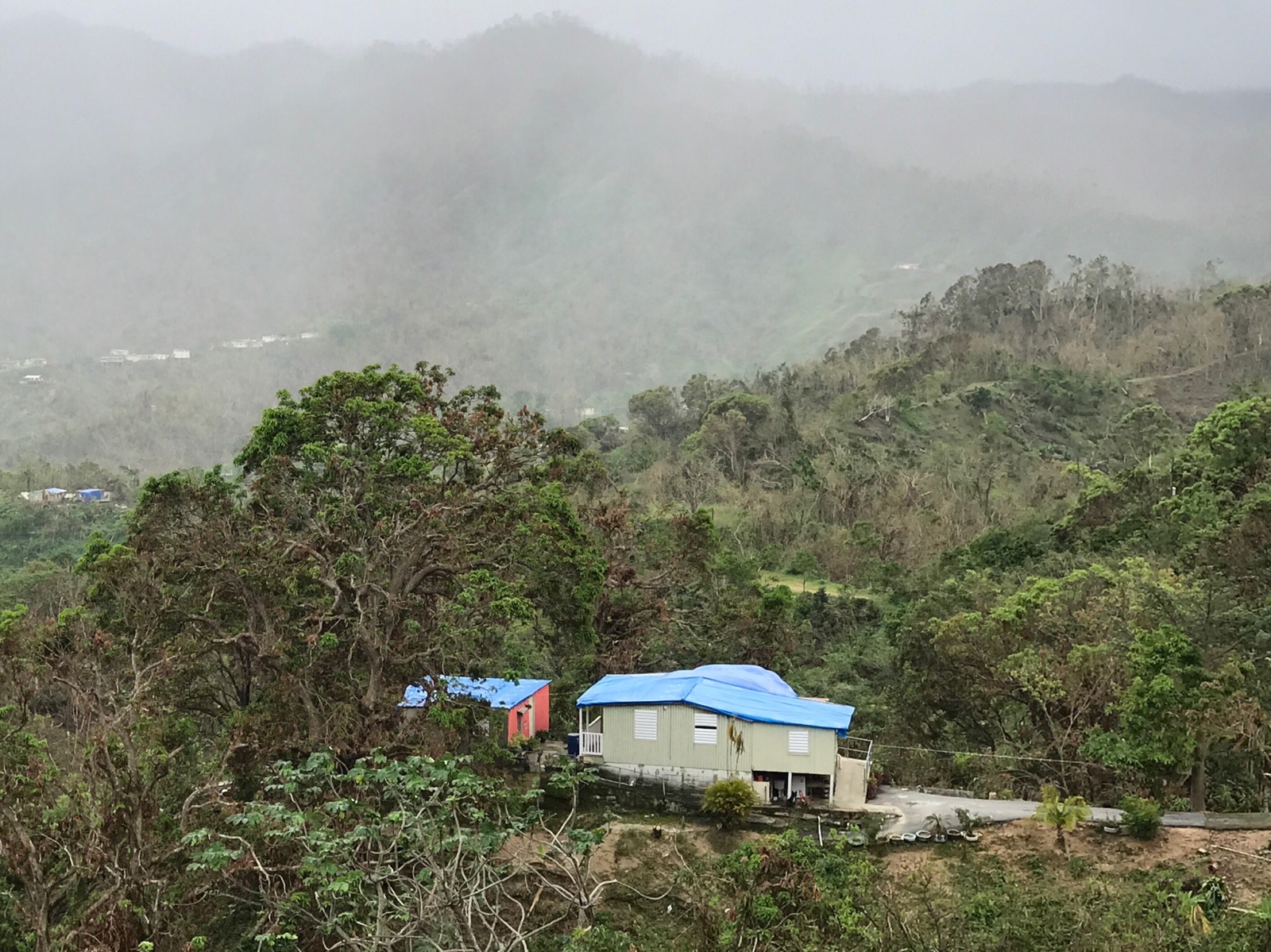 10-28-2017 Blue tarps for roofless homes dot the countryside (not necessarily from FEMA)