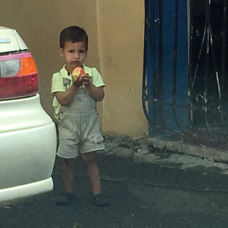 11-12-2017 Our new little friend digs into a fresh apple delivered by team member